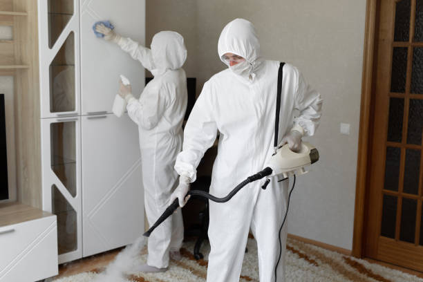 Professional Mold Remediation in Tunkhannock, PA